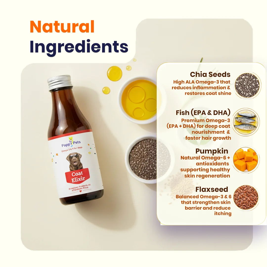 COAT ELIXIR – Omega-Rich Fish Oil Food Topper image 5